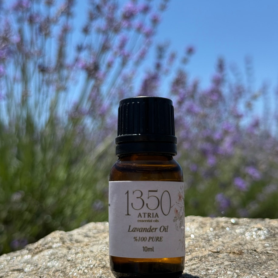 Lavanta Uçucu Yağı (Lavandula angustifolia) 10ml