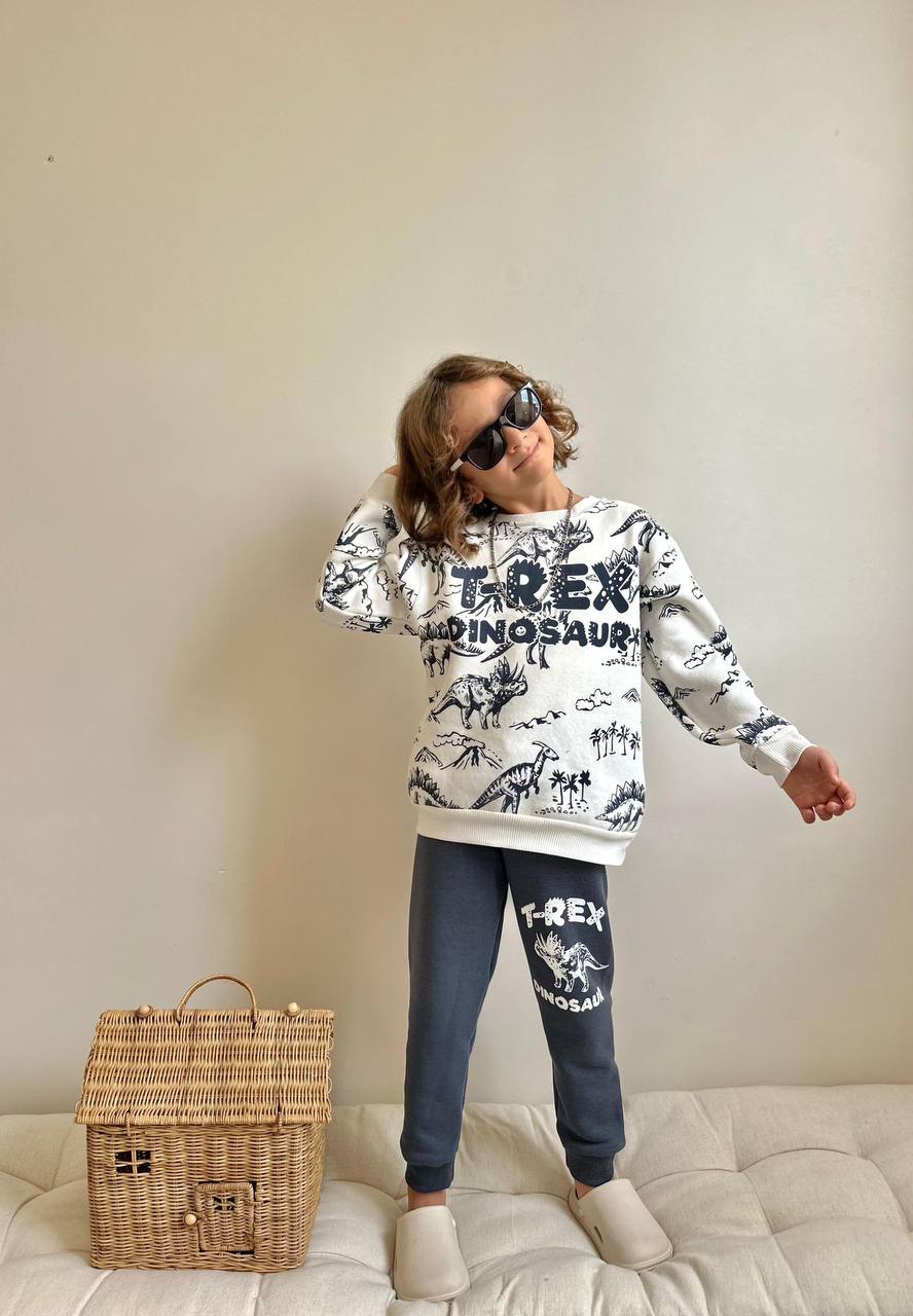 3-10 Yaş Erkek Çocuk T-Rex Dinosaur Baskılı 3 İplik Şardonlu Eşofman Takımı