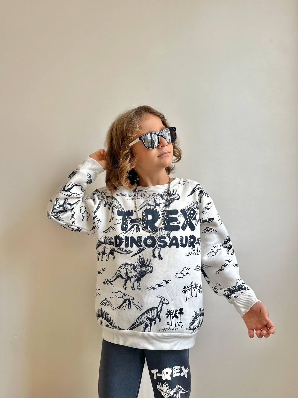 3-10 Yaş Erkek Çocuk T-Rex Dinosaur Baskılı 3 İplik Şardonlu Eşofman Takımı