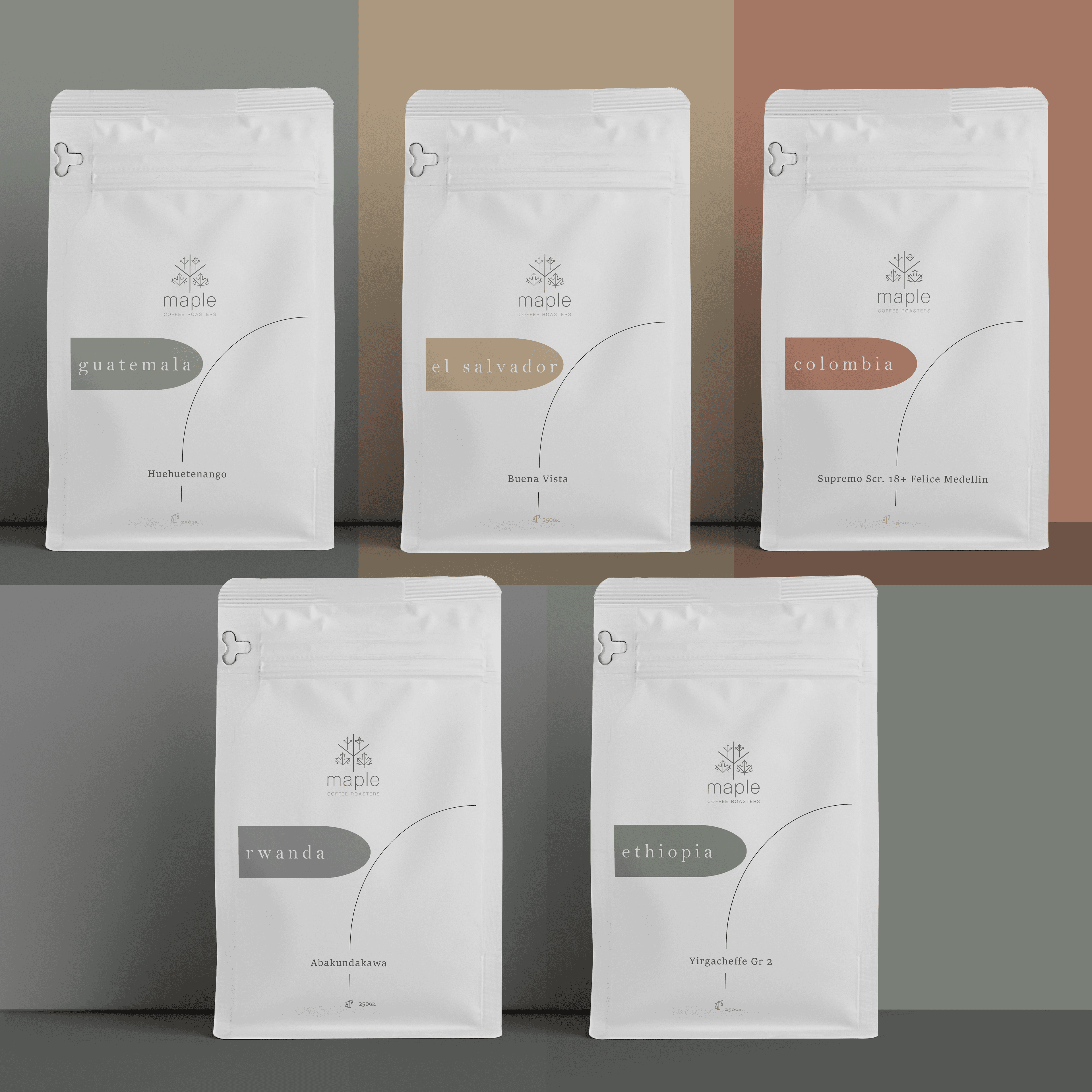 Maple Coffee - Starter Kit (Başlangıç Kiti)