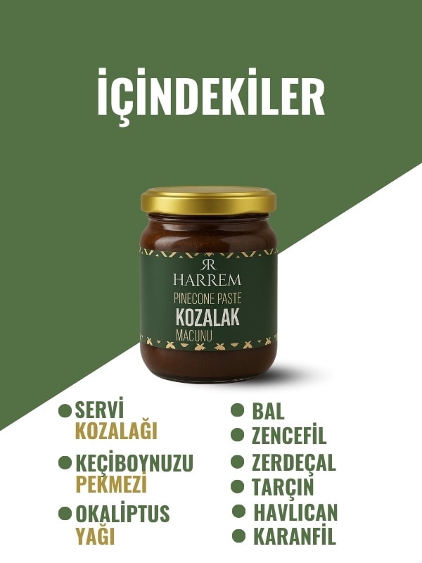 Kozalak Macunu 240 Gr