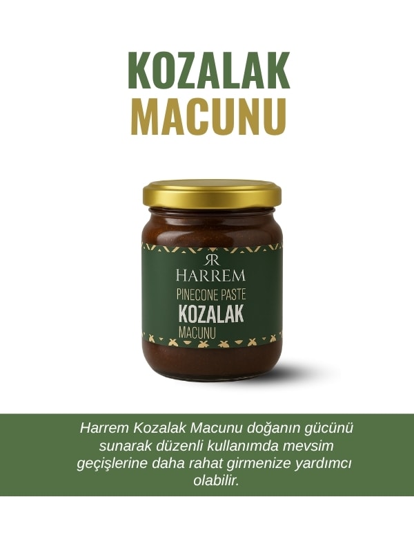 Kozalak Macunu 240 Gr