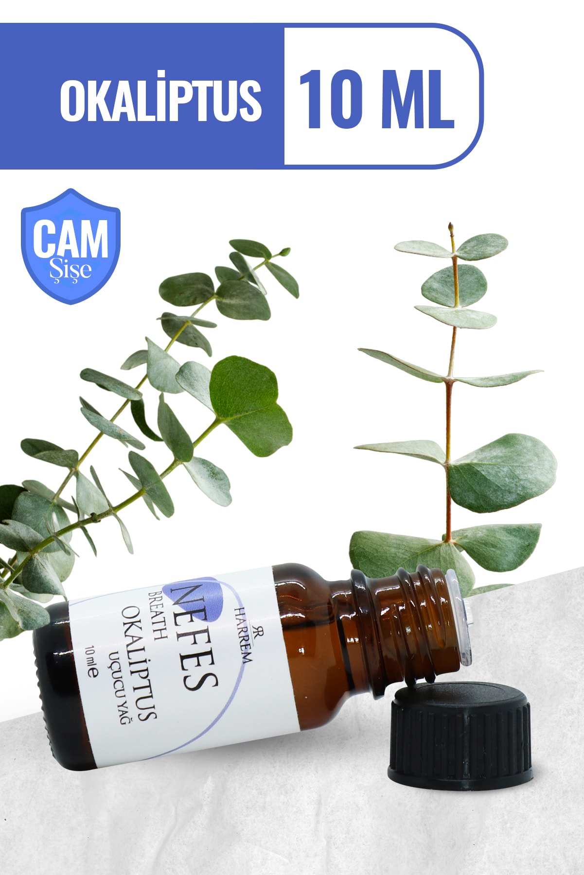 Okaliptus Yağı