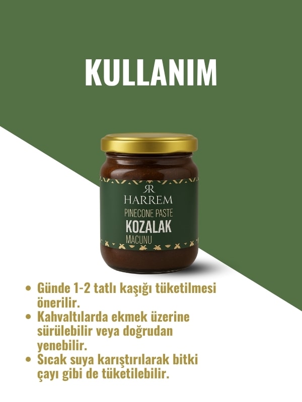 Kozalak Macunu 240 Gr