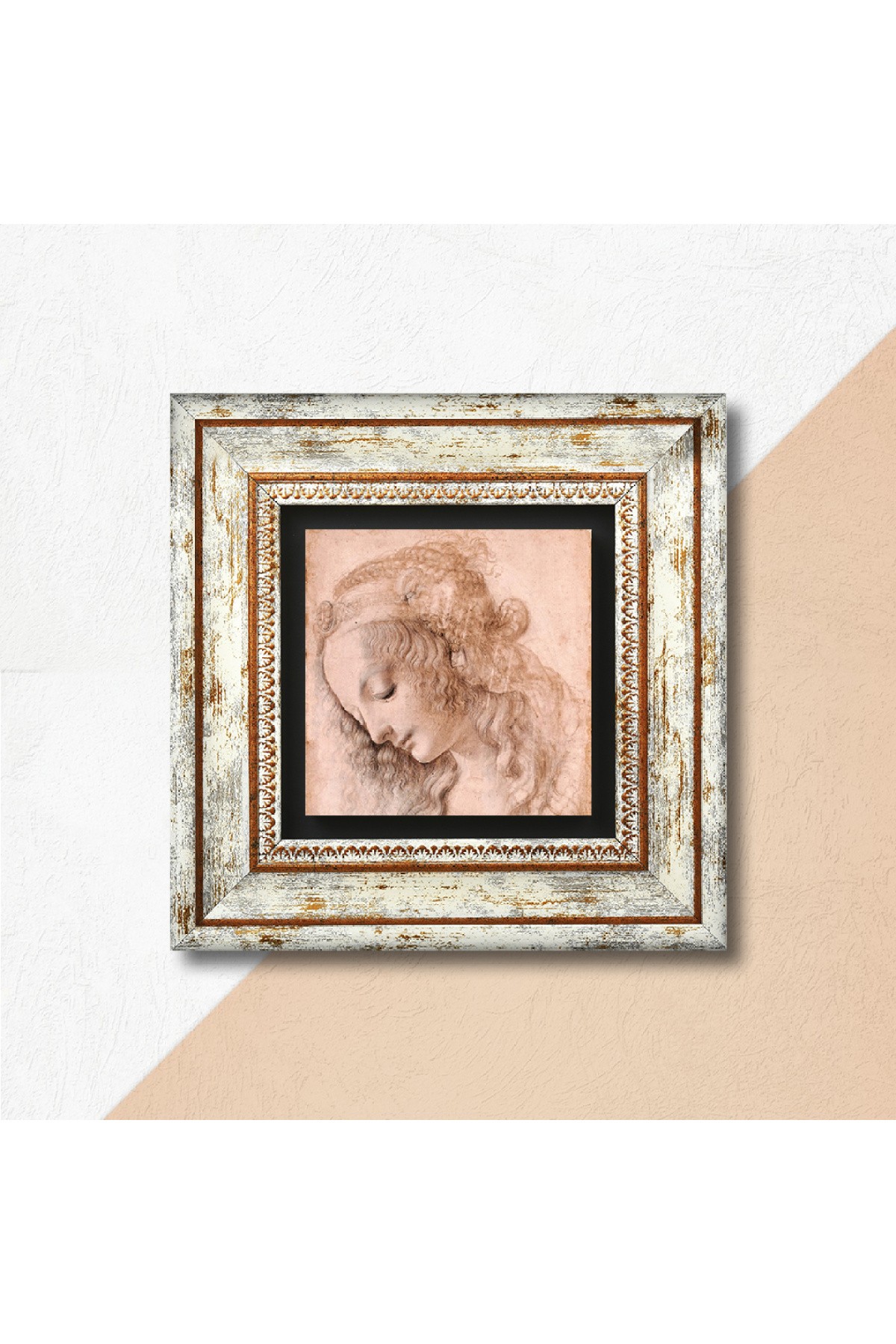 Leonardo da Vinci Head Profile of a Young Woman Stone Wall Painting Framed Wall Decoration Wall Art