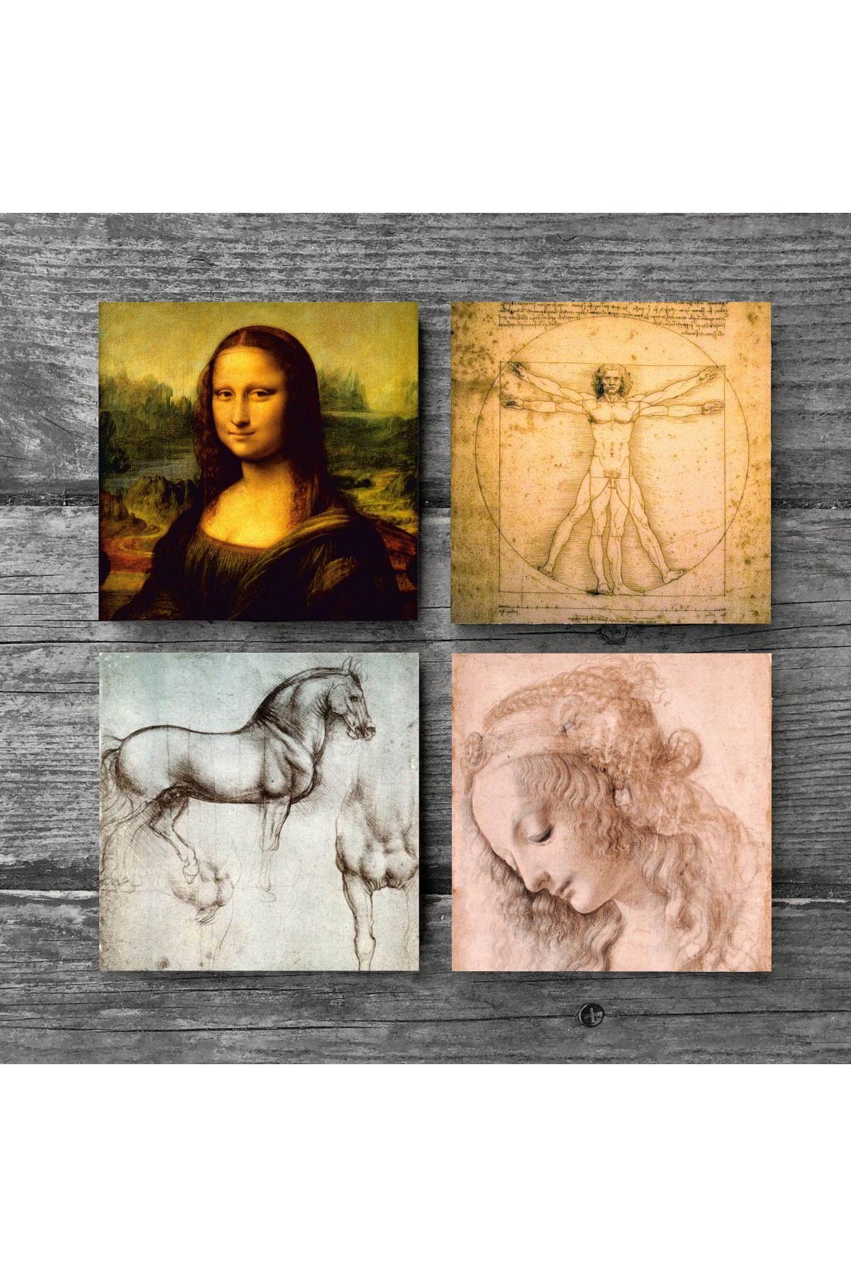 Da Vinci Mona Lisa, Genç Bir Kadının Baş Profili, Vitruvius Adamı, At Heykeli Taş Bardak Altlığı Masaüstü Koruyucu Altlık 4 Parça Set 10x10cm Stone Coasters