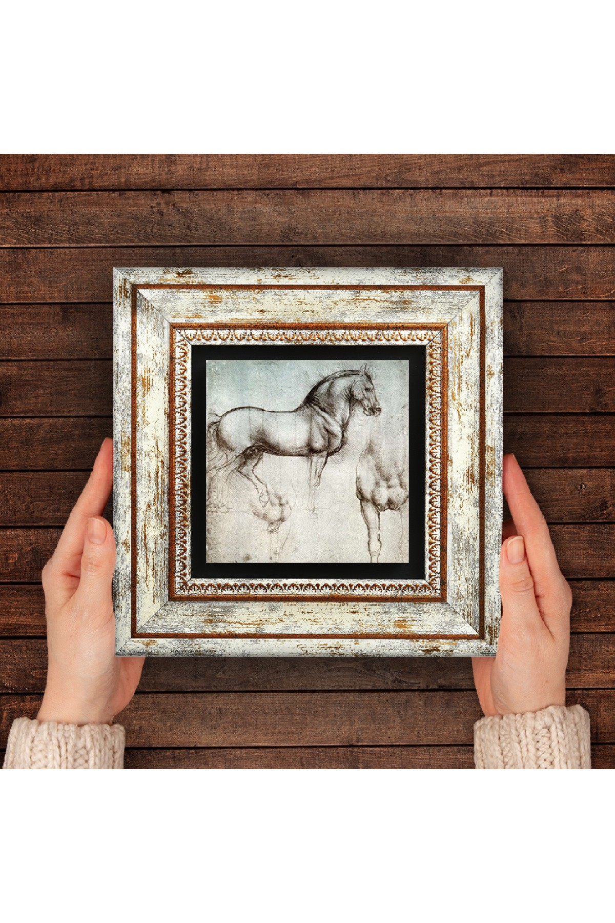 Leonardo da Vinci Horse Statue Stone Wall Painting Framed Wall Decor Wall Art