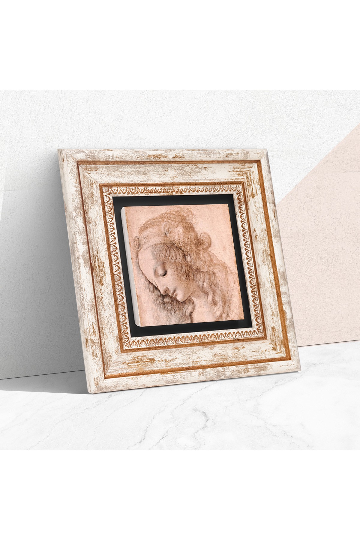 Leonardo da Vinci Head Profile of a Young Woman Stone Wall Painting Framed Wall Decoration Wall Art