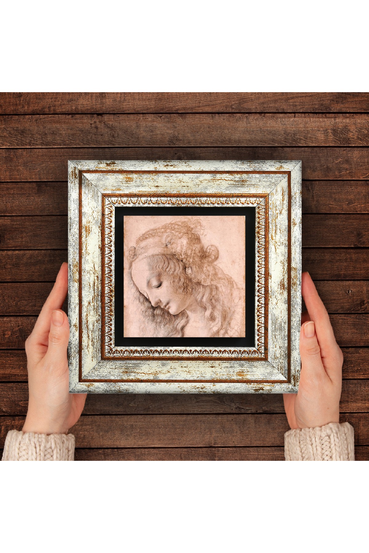 Leonardo da Vinci Head Profile of a Young Woman Stone Wall Painting Framed Wall Decoration Wall Art