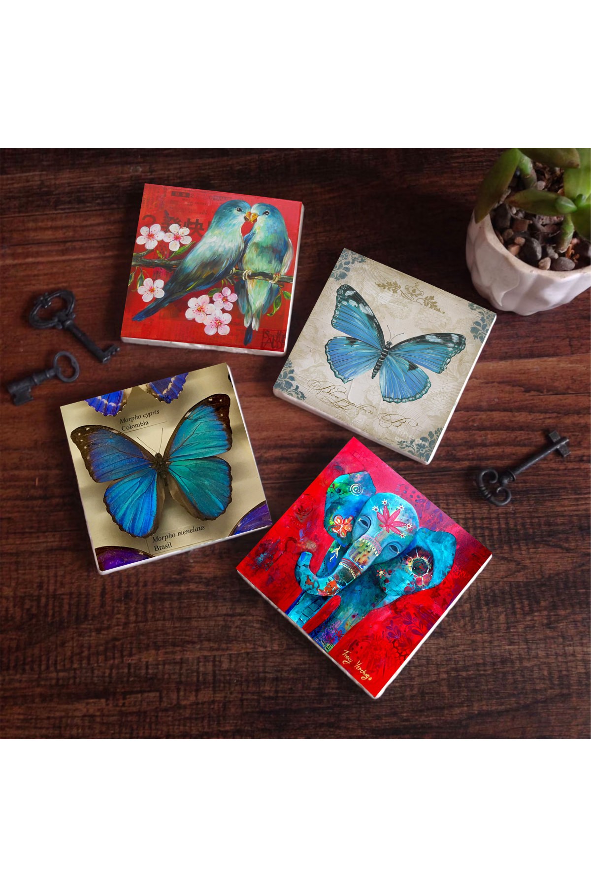 Kelebek, Fil, Kuş Taş Bardak Altlığı Masaüstü Koruyucu Altlık 4 Parça Set 10x10cm Stone Coasters