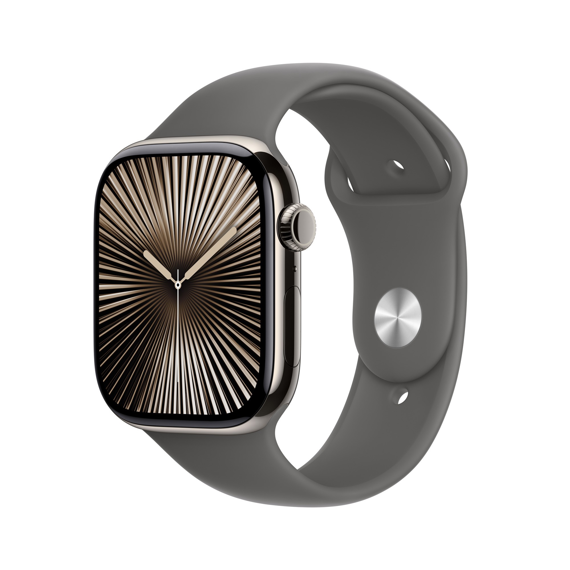 Apple Watch Series 10 GPS + Cellular - Taş Grisi