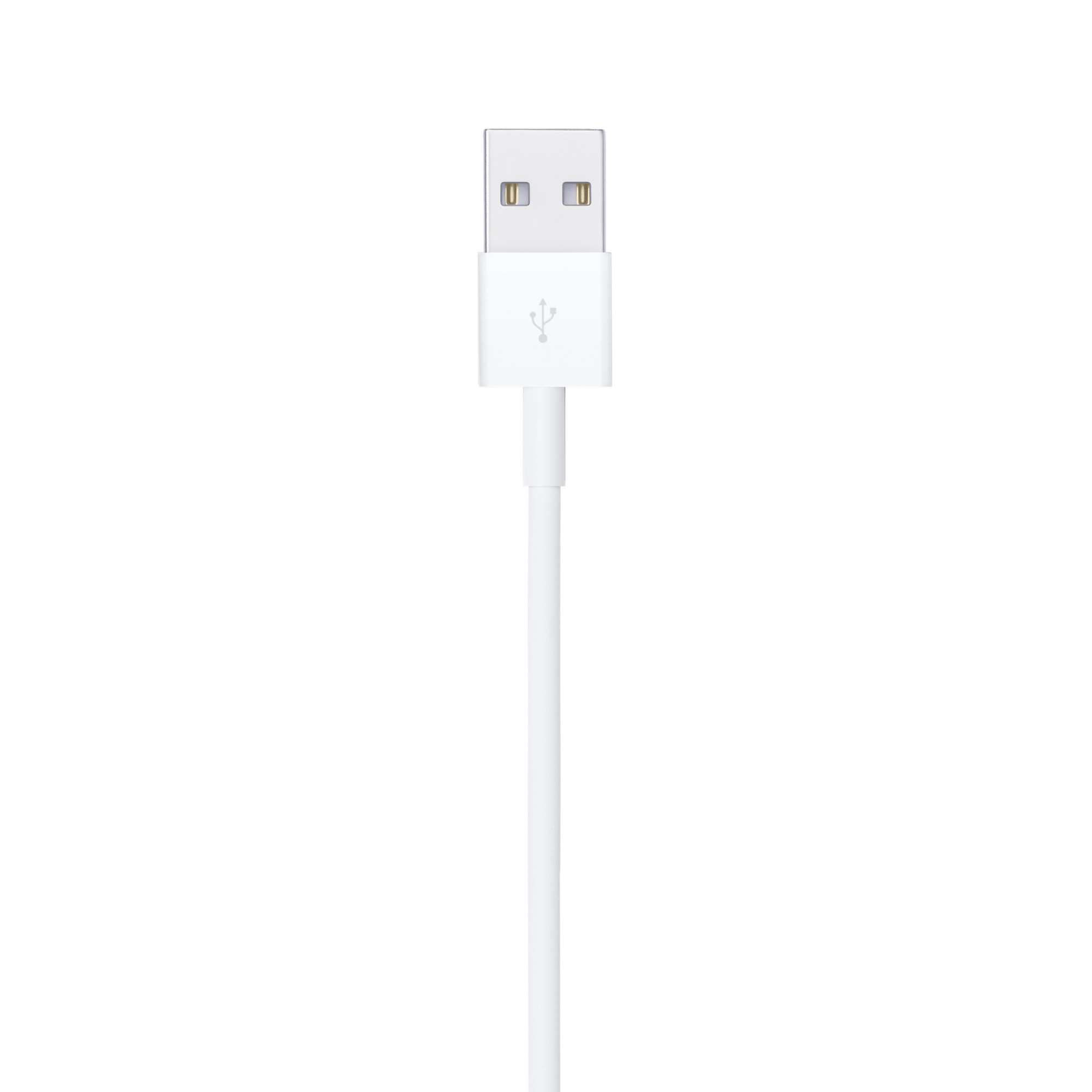 Apple Lightning - USB Kablosu (0,5 m)