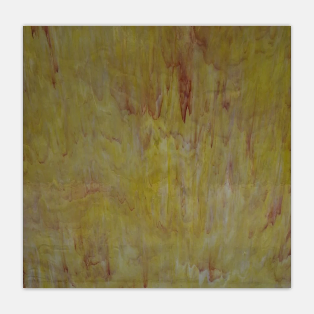 Wo2 Sarı Pal - Kanarya