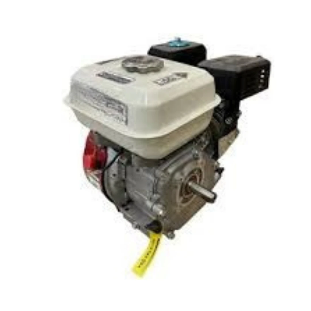 Kawashima 7Hp 19Mm Kamalı Krank Çıplak Motor