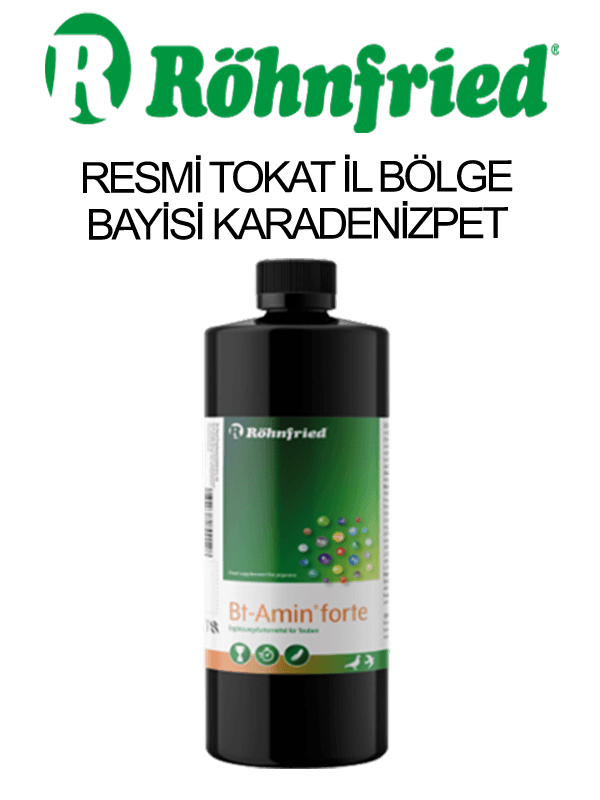 Röhnfried Bt-Amin Forte B vitamini , Amino Asit ve Elektrolit