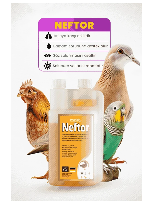 Neftor Hırıltı ve Balgam Ürünü