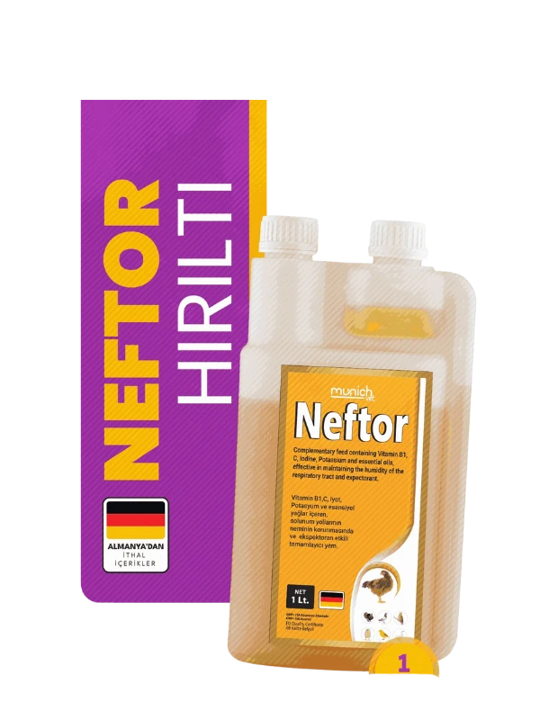 Neftor Hırıltı ve Balgam Ürünü