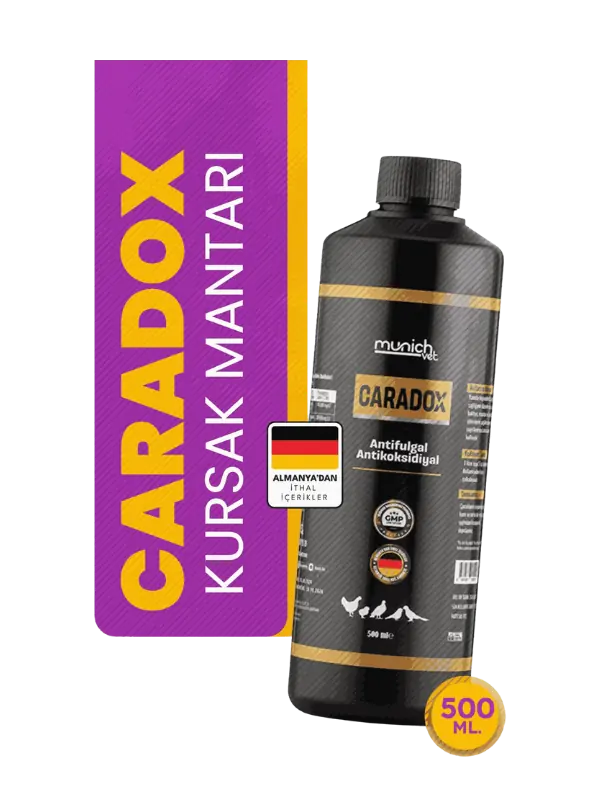 Caradox Kursak Mantarı Peynirleşme Pamukcuk Ürünü