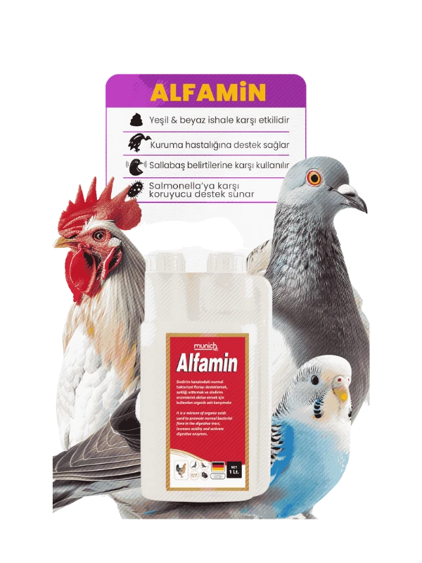 Alfamin İshal Sallabaş ve Kuruma