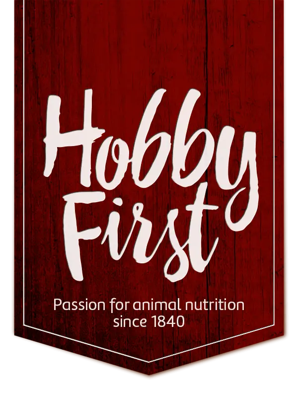 Hobby First Ürünleri