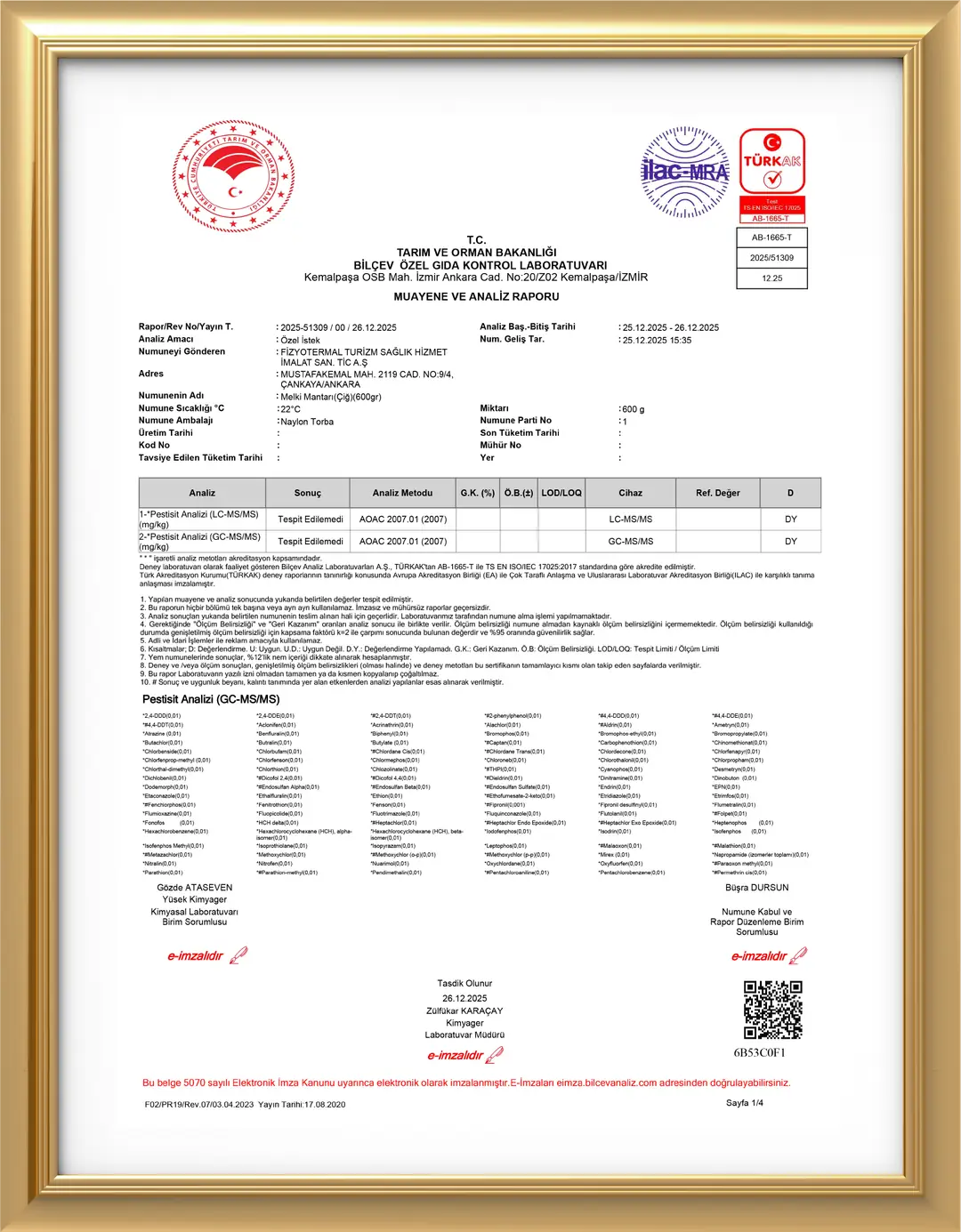 Melki Mantarı Analiz Raporu