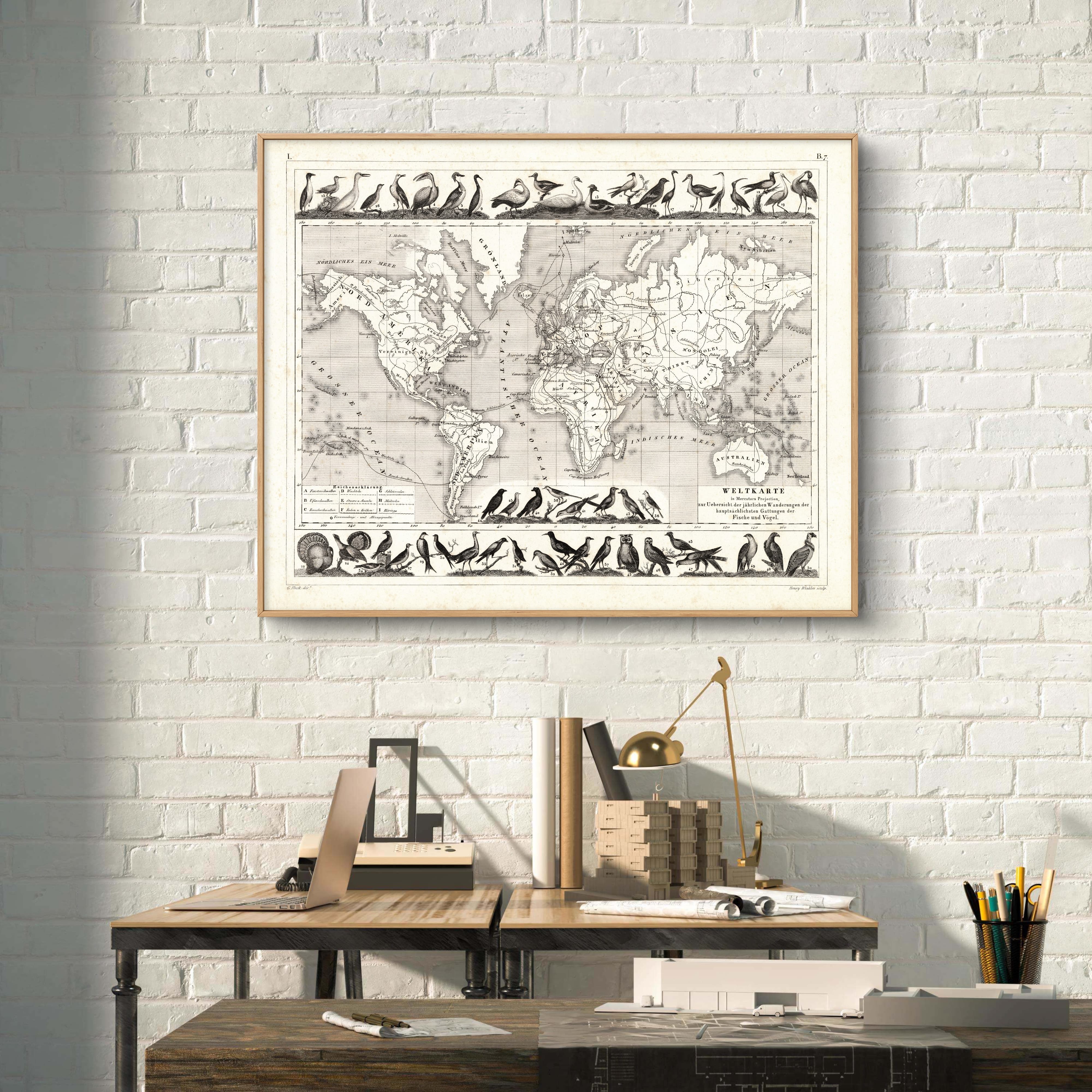 Göçmen Kuşlar Haritası