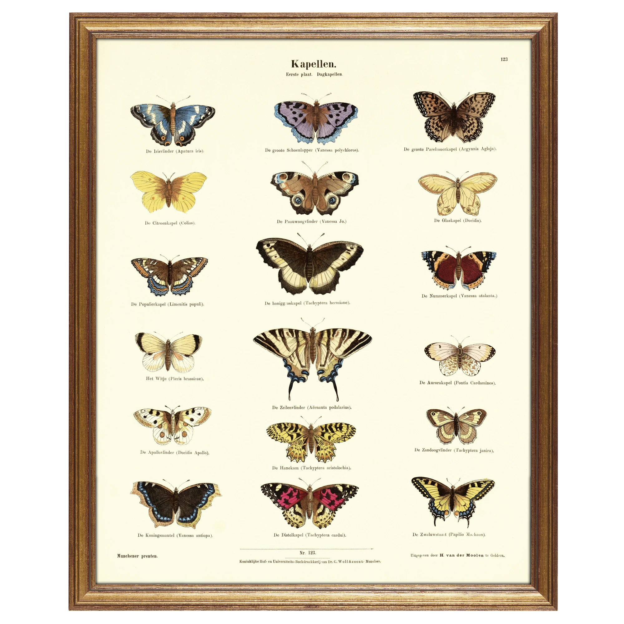 Kelebekler - Ernst Fröhlich (1872)