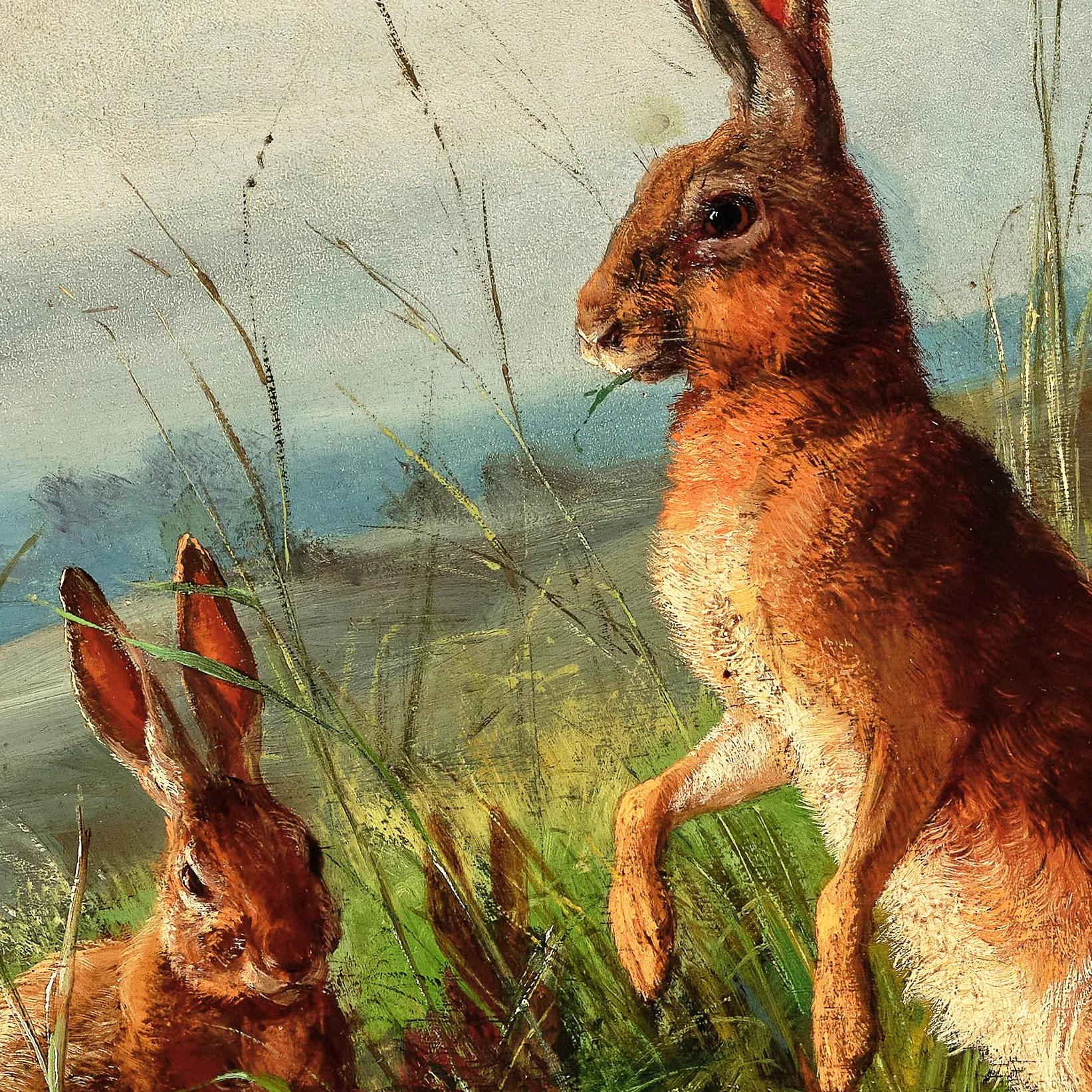 Kır Tavşanları - Carl Friedrich Deiker