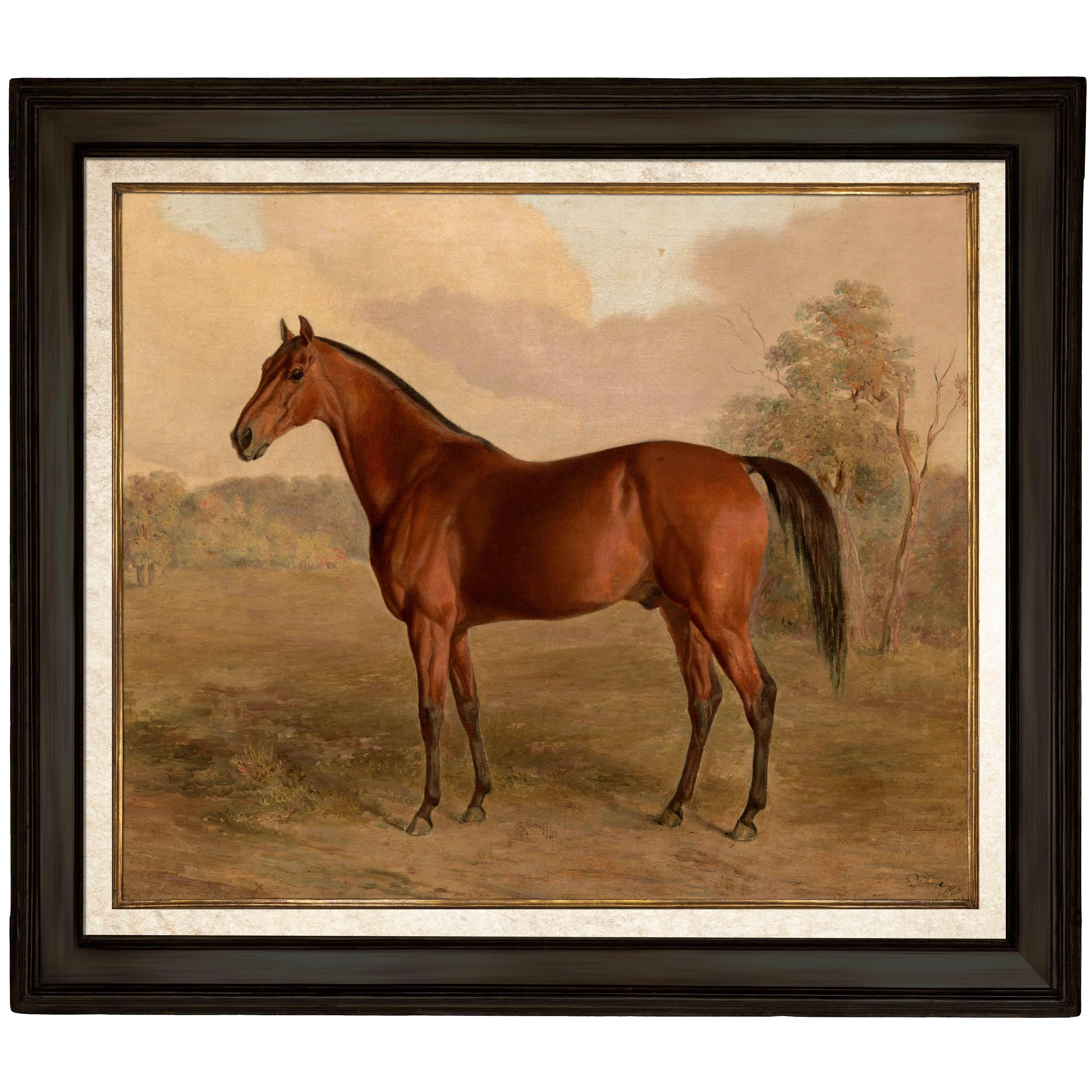 Kentucky Woodpecker - Edward Troye