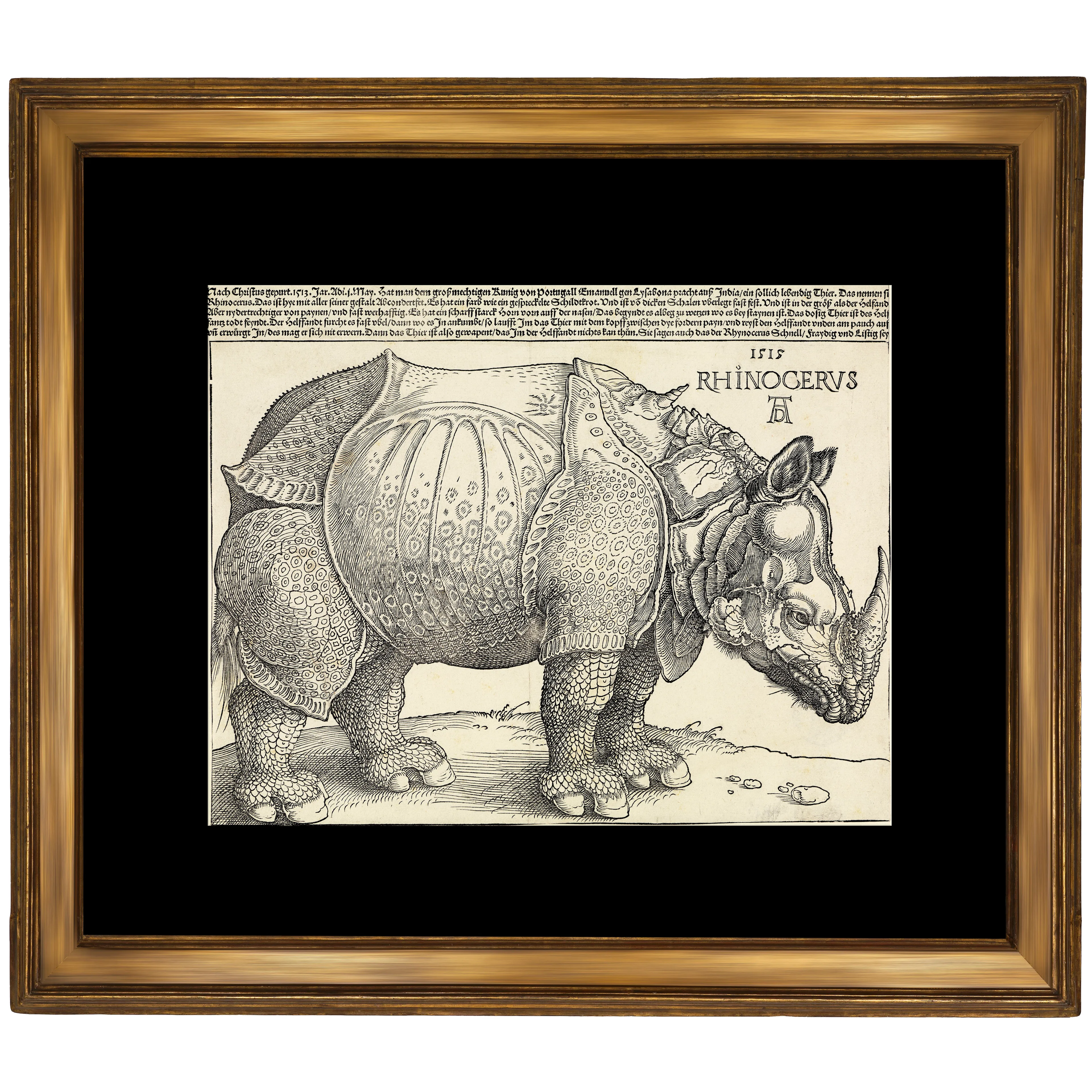 Gergedan - Albrecht Dürer