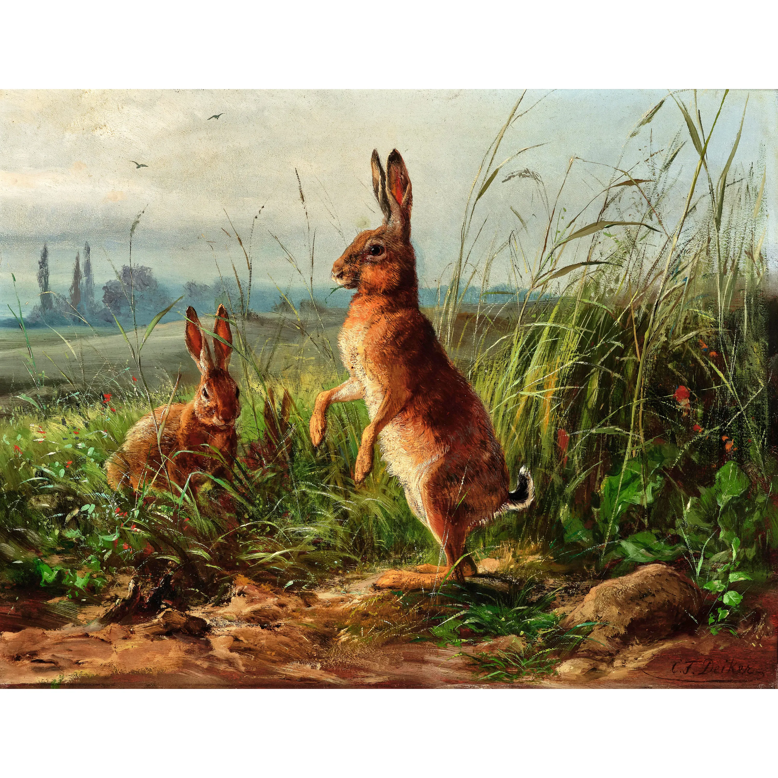 Kır Tavşanları - Carl Friedrich Deiker