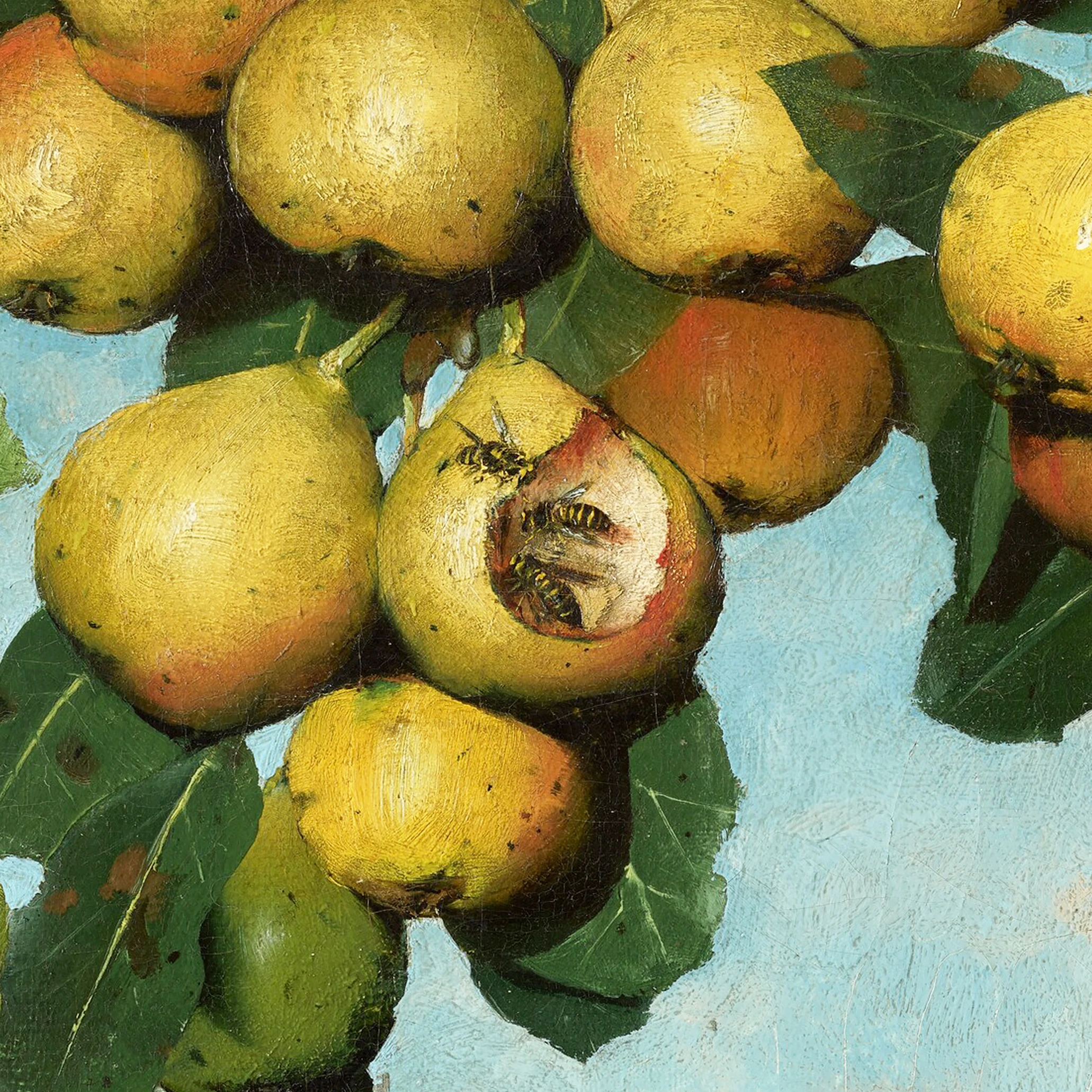 Armut Zamanı - Joseph Decker