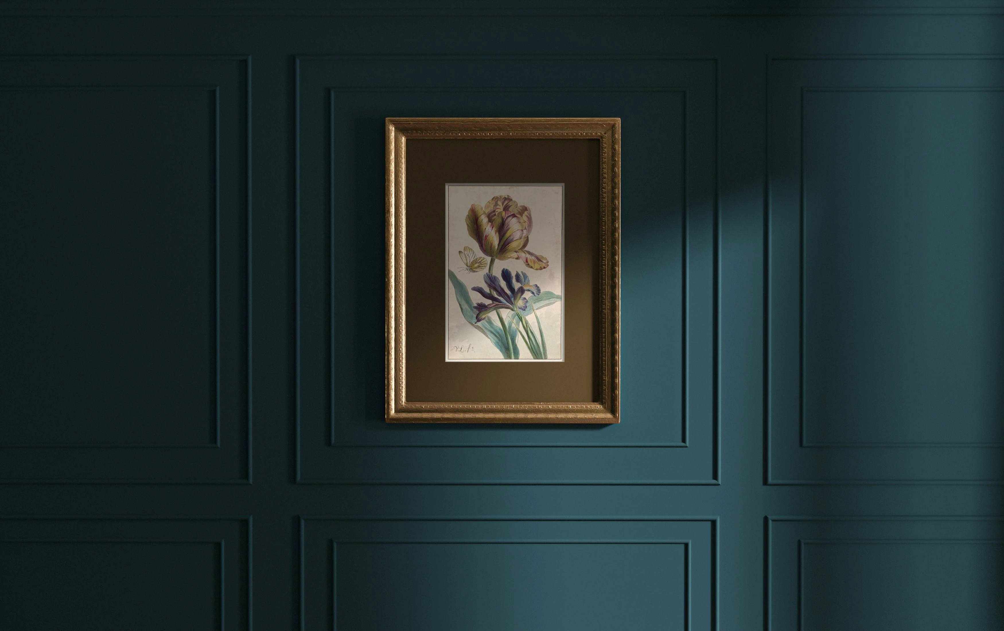 Lale (Botanik Resim)