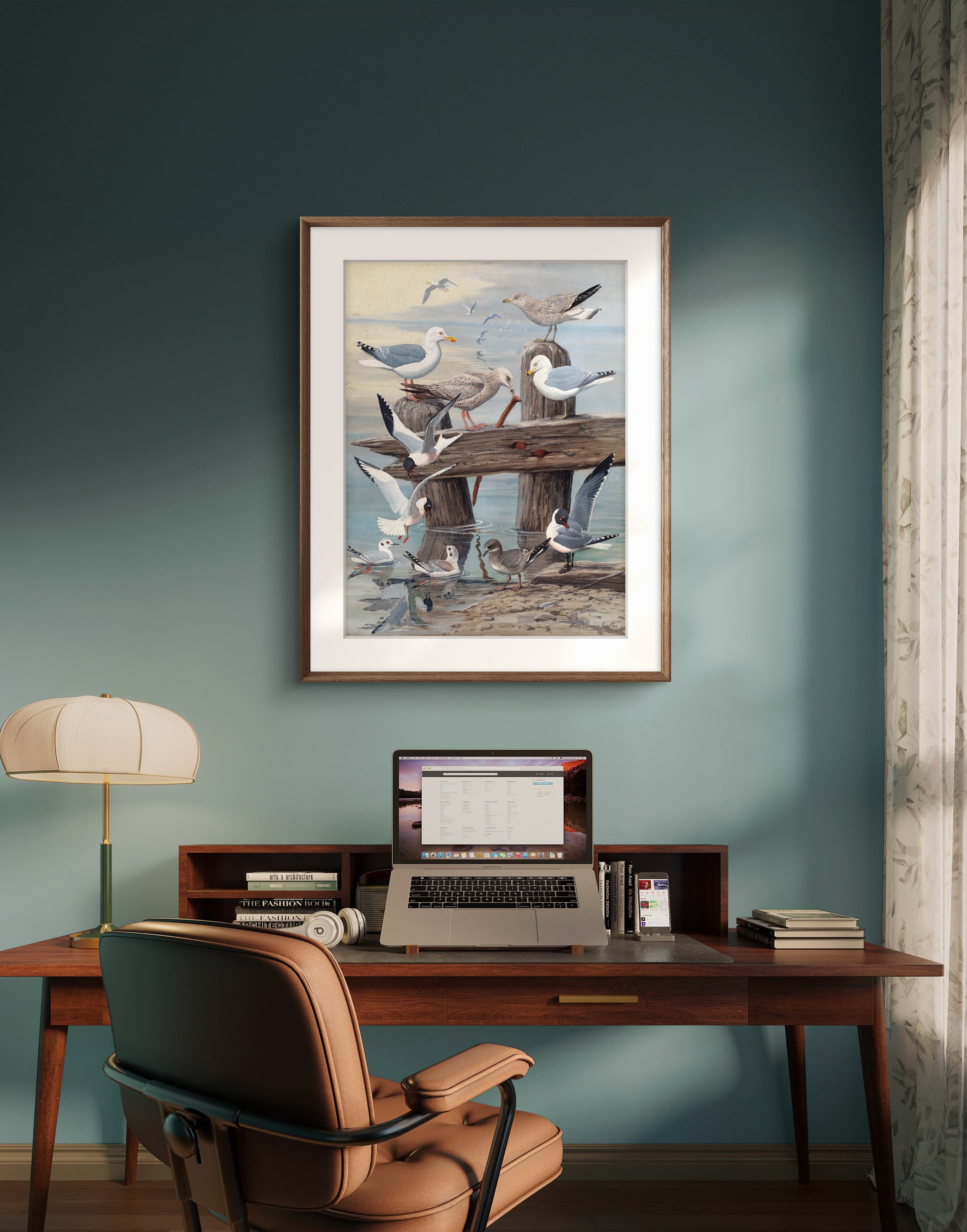 Martılar - Louis Agassiz Fuertes