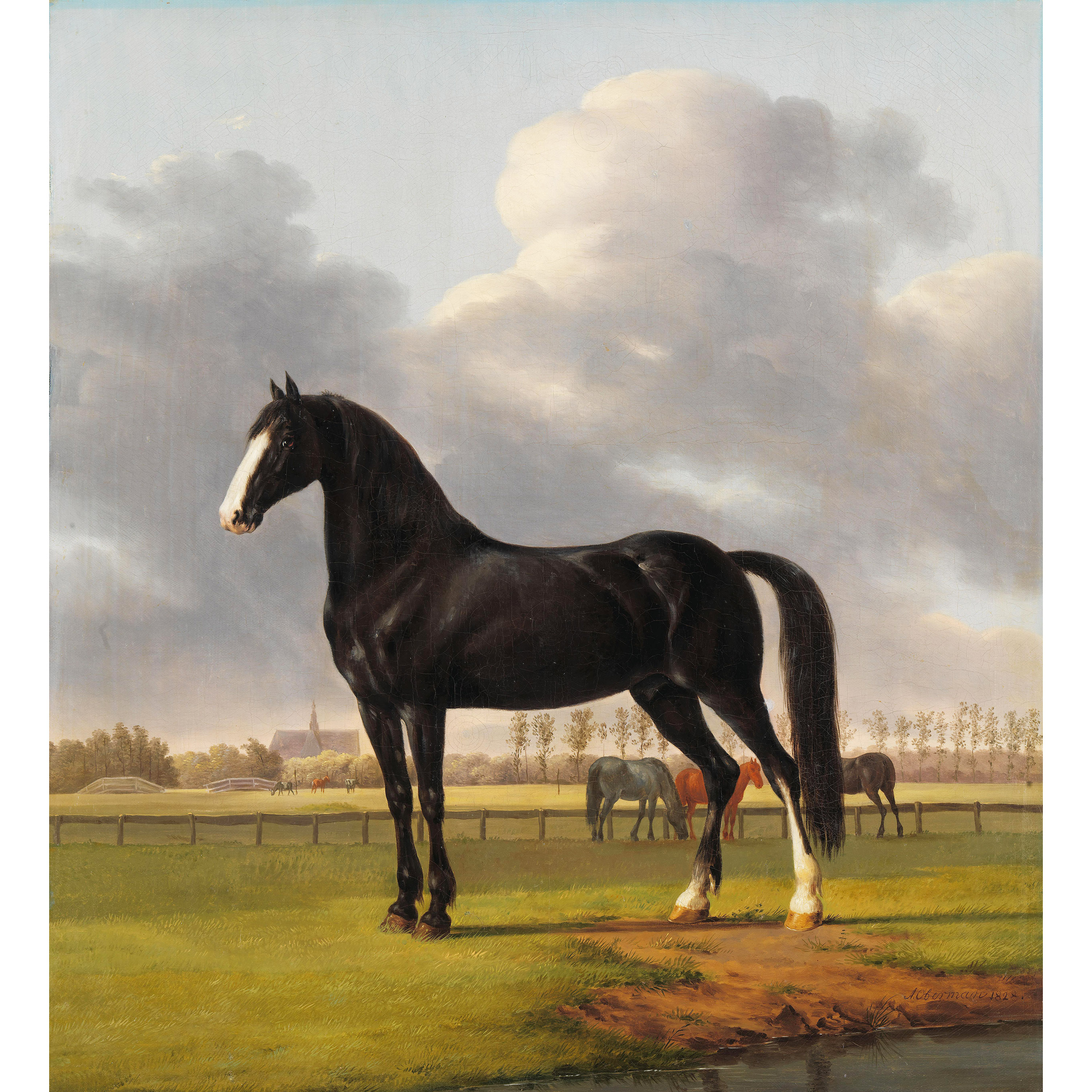 Çayırda Tırıs - Anthony Oberman