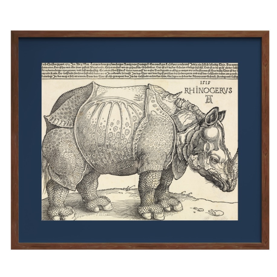 Gergedan - Albrecht Dürer
