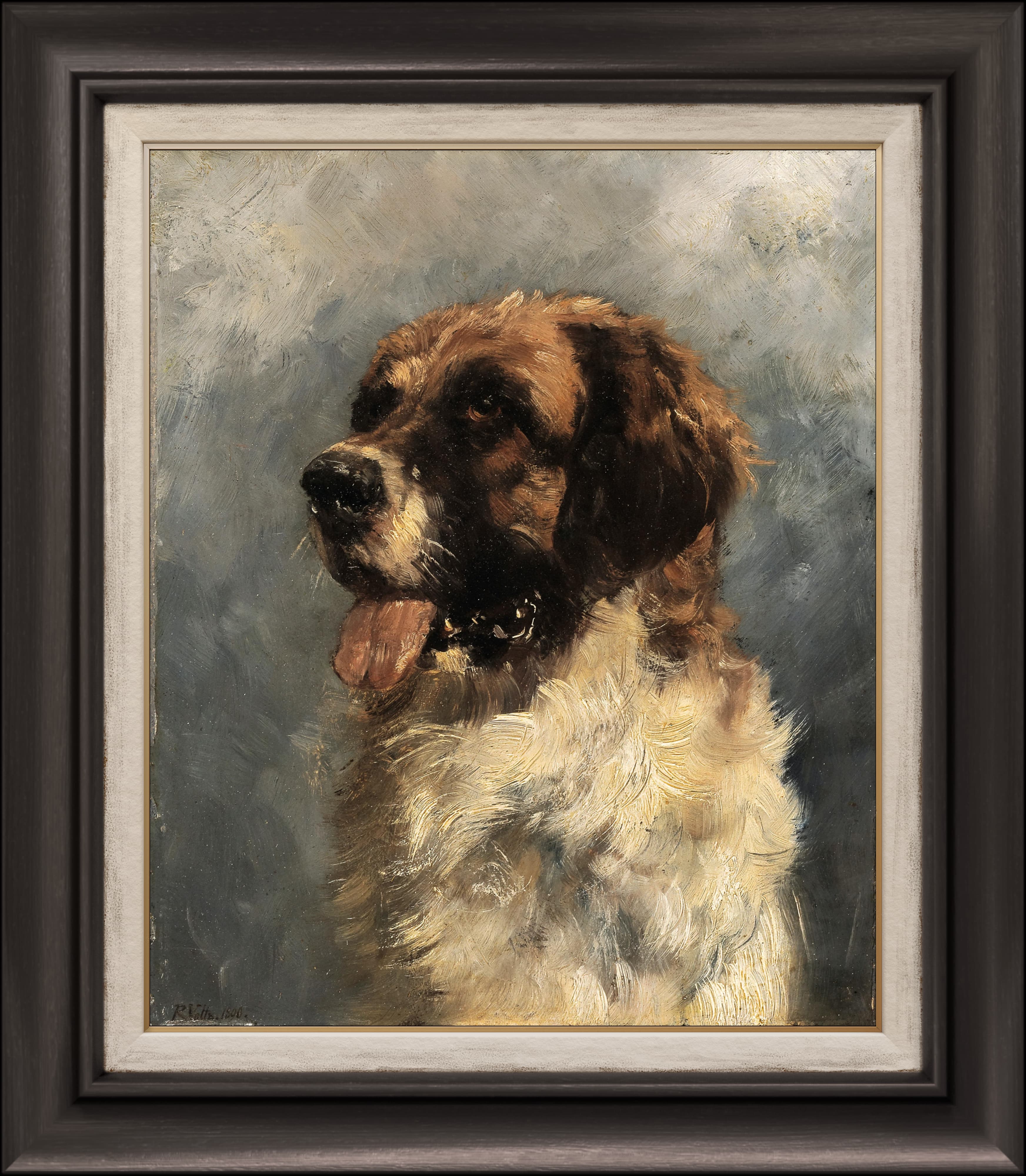 Saint Bernard - Richard Voltz