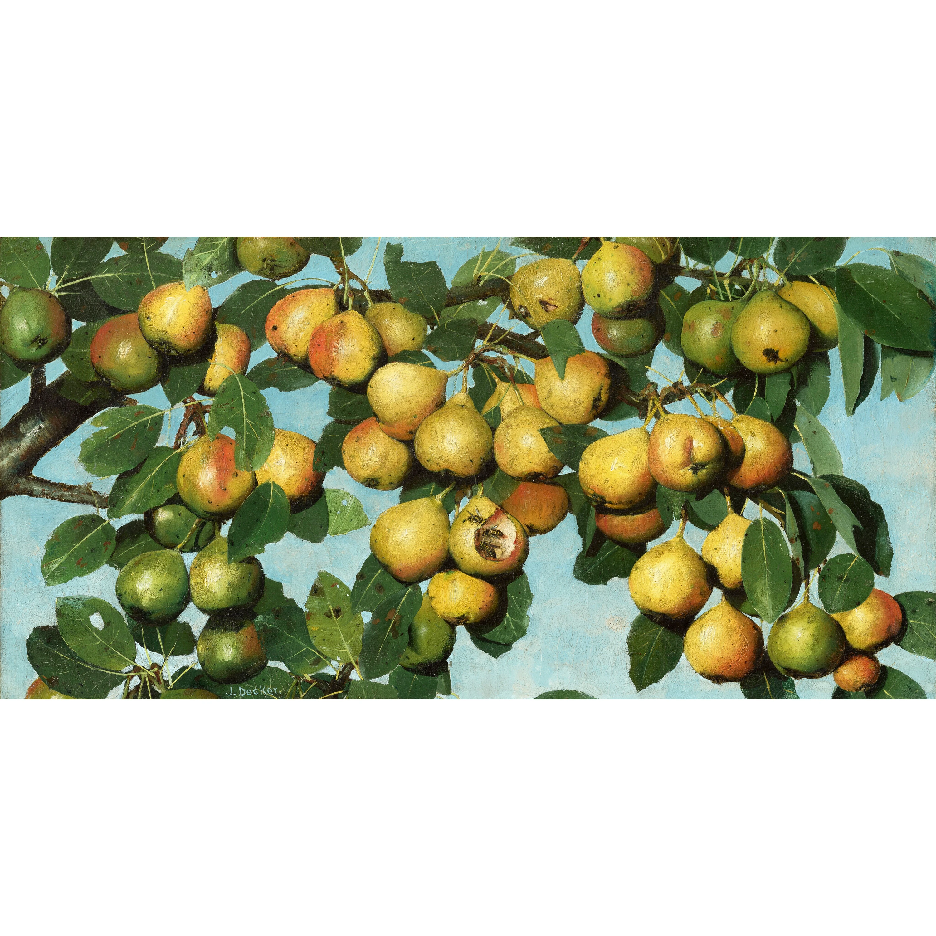 Armut Zamanı - Joseph Decker