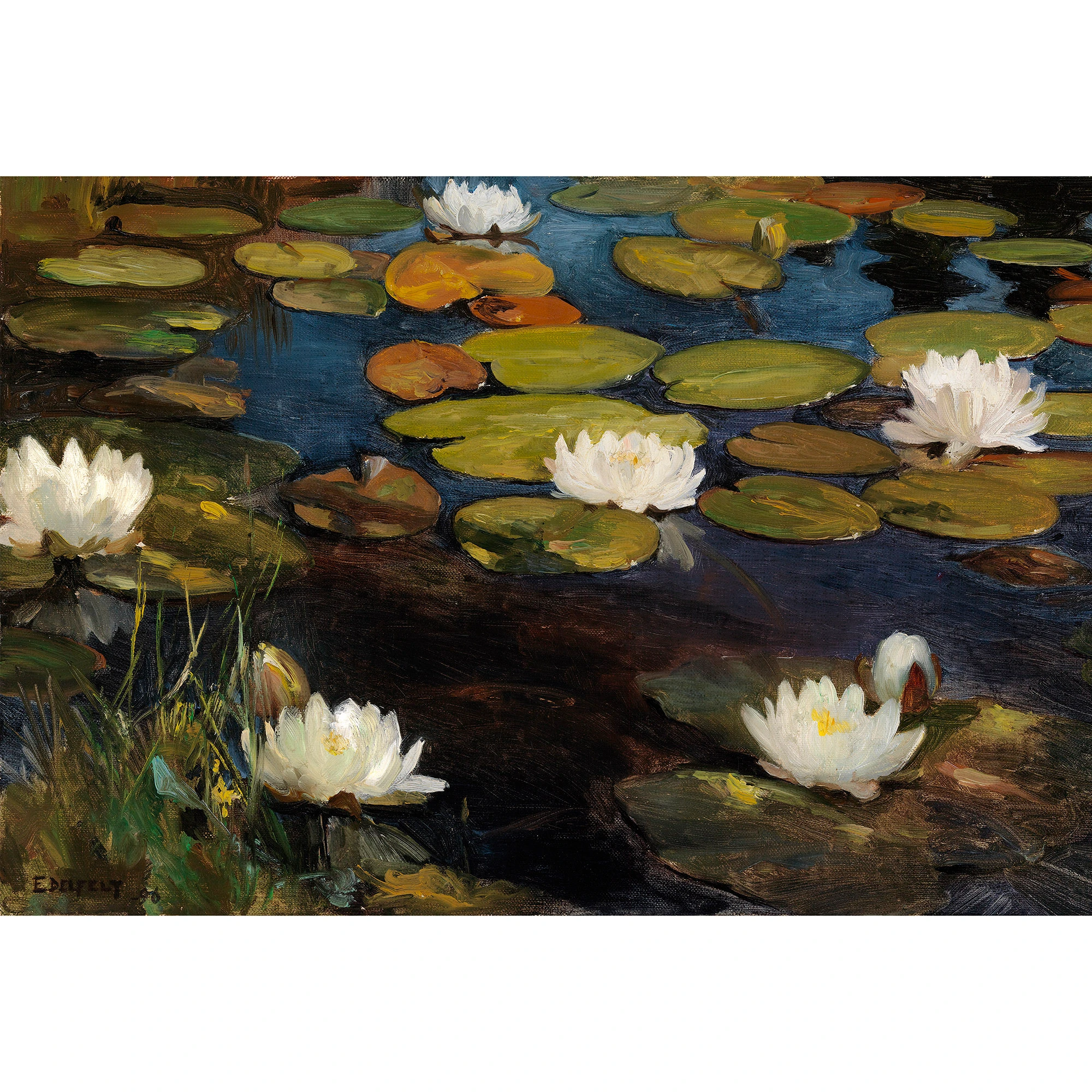 Nilüfer Çiçekleri - Albert Edelfelt