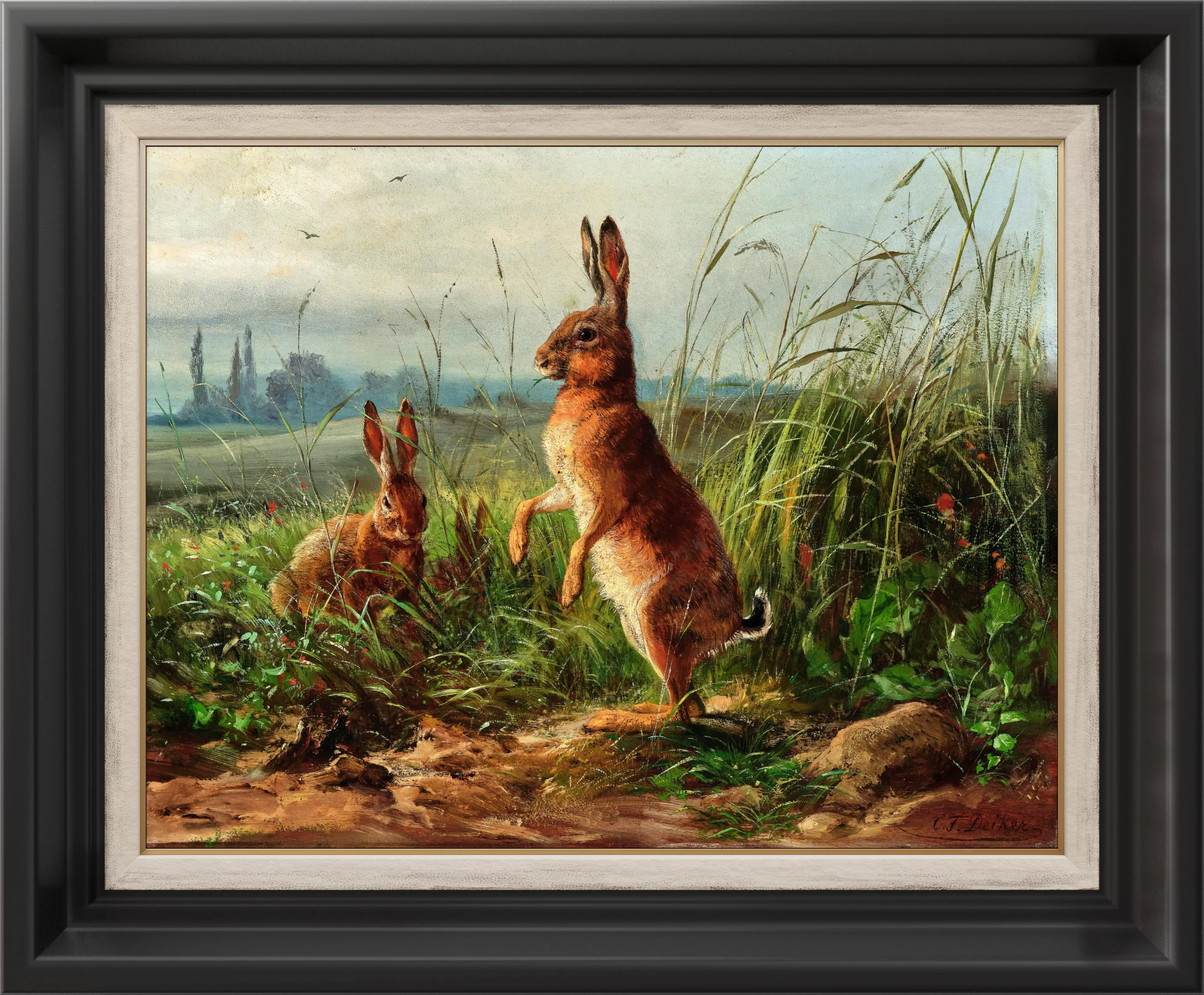 Kır Tavşanları - Carl Friedrich Deiker