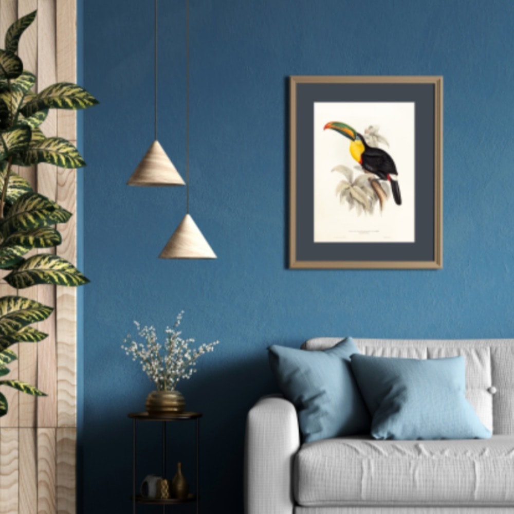 Sivri Gagalı Tukan (Ramphastos Carinatus)