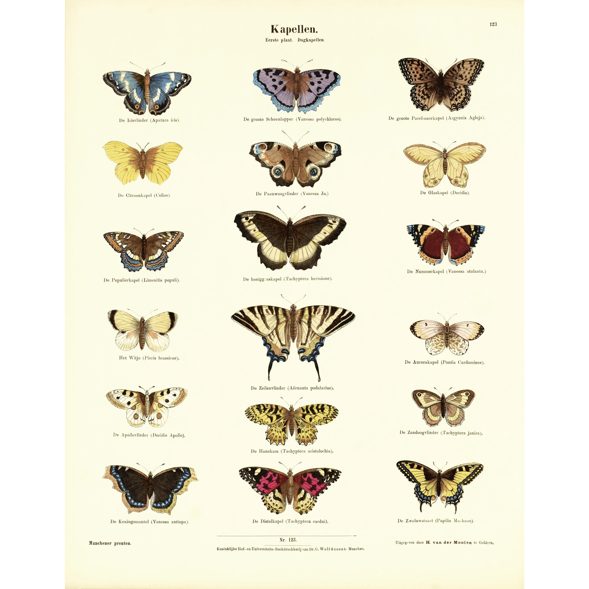 Kelebekler - Ernst Fröhlich (1872)