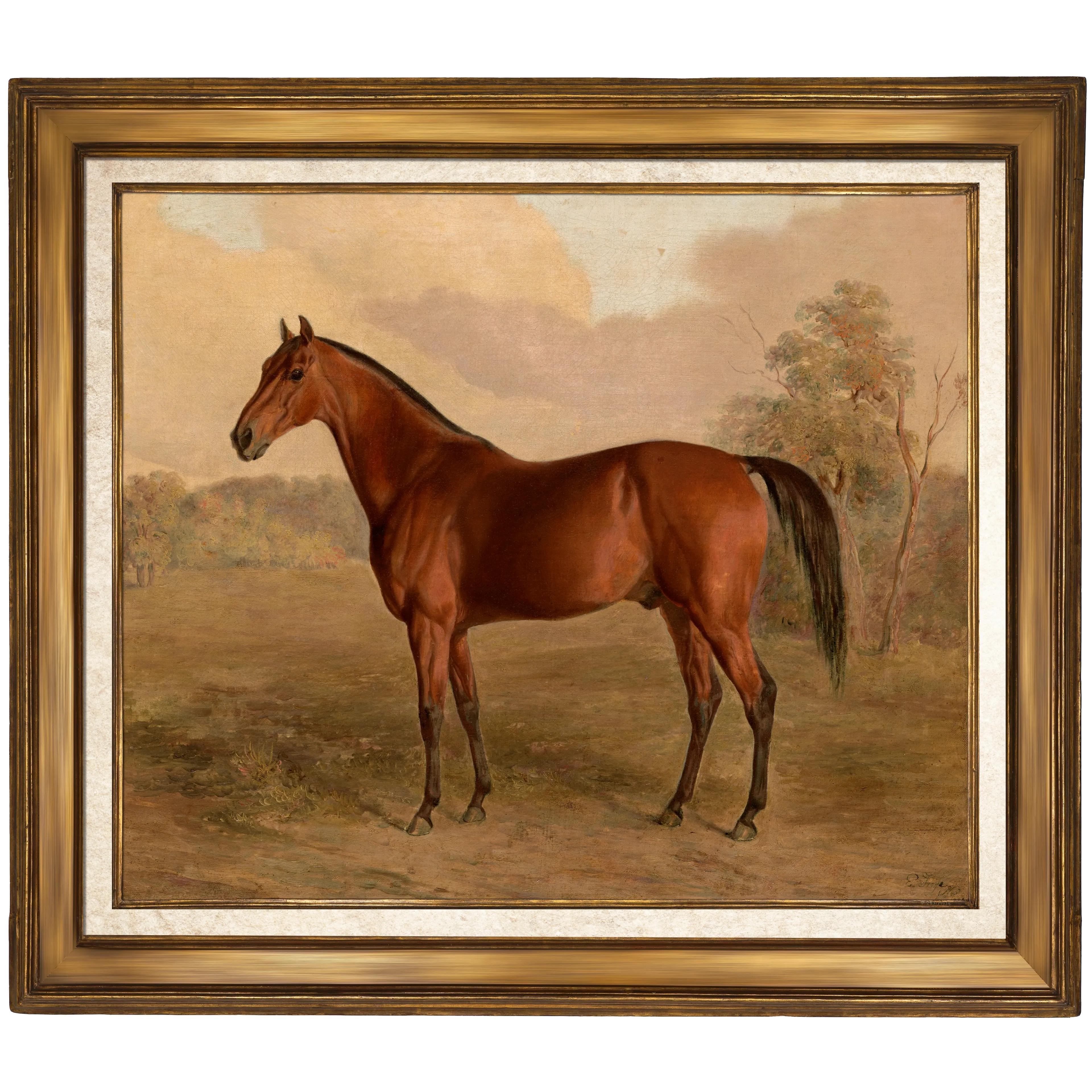 Kentucky Woodpecker - Edward Troye