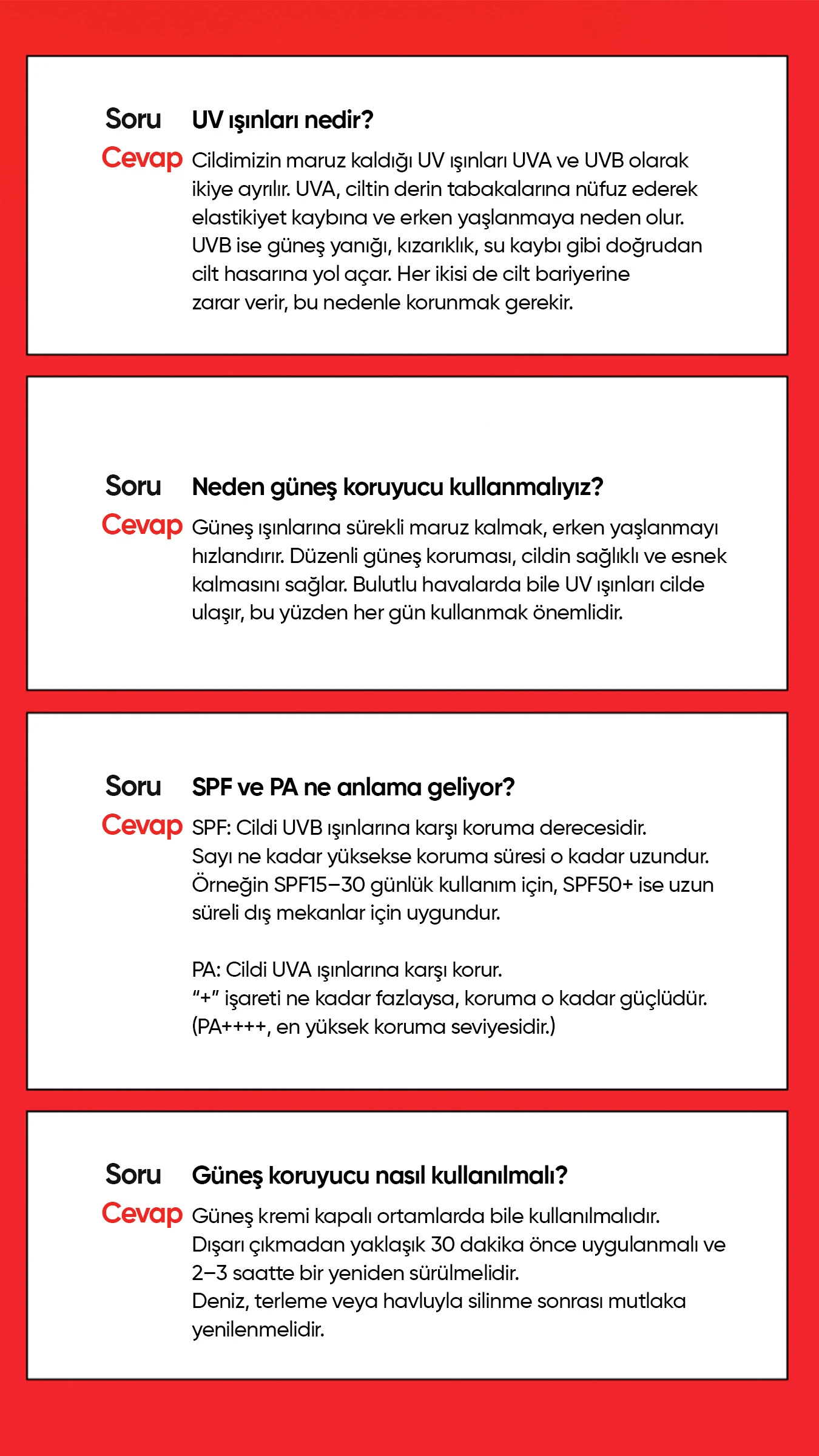 Doğal Bitişli Günlük Kore Güneş Kremi Daily Sun Cream SPF 50 + PA ++++