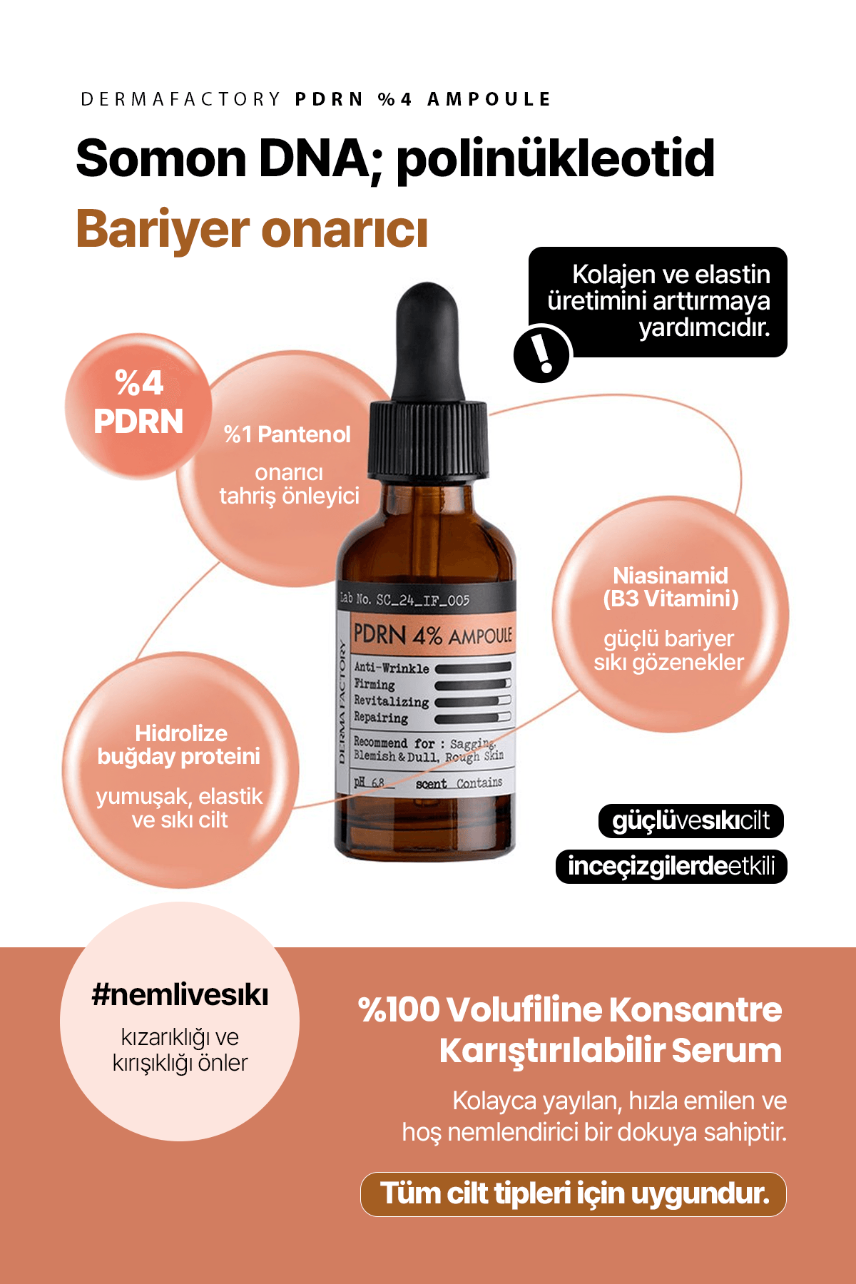 PDRN Somon DNA Yaşlanma Karşıtı ve Sıkılaştırıcı Serum Derma Factory PDRN %4 Ampoule 30 ml