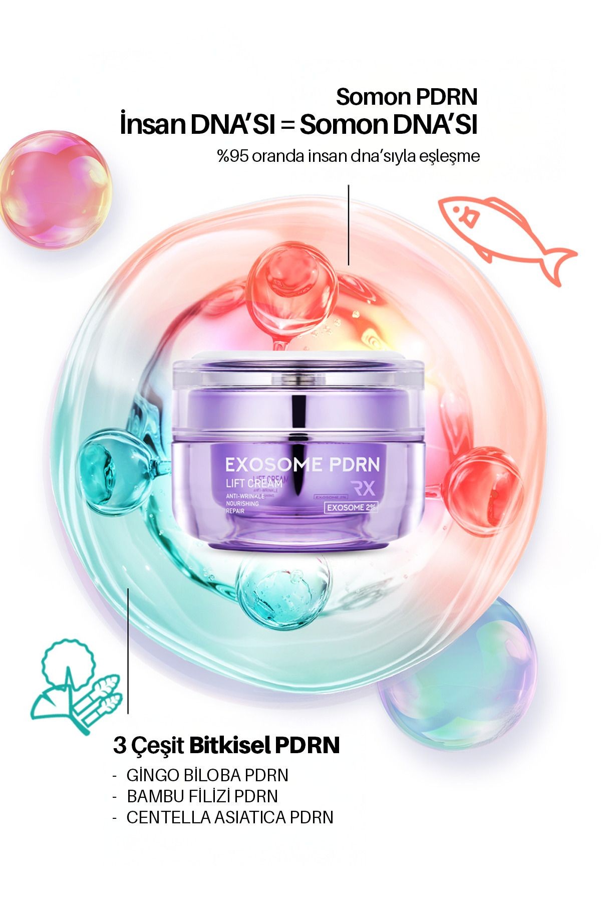 Exosome PDRN Yoğun Elastikiyet ve Cilt Dolgunlaştırıcı Maxclinic Krem + Gua Sha