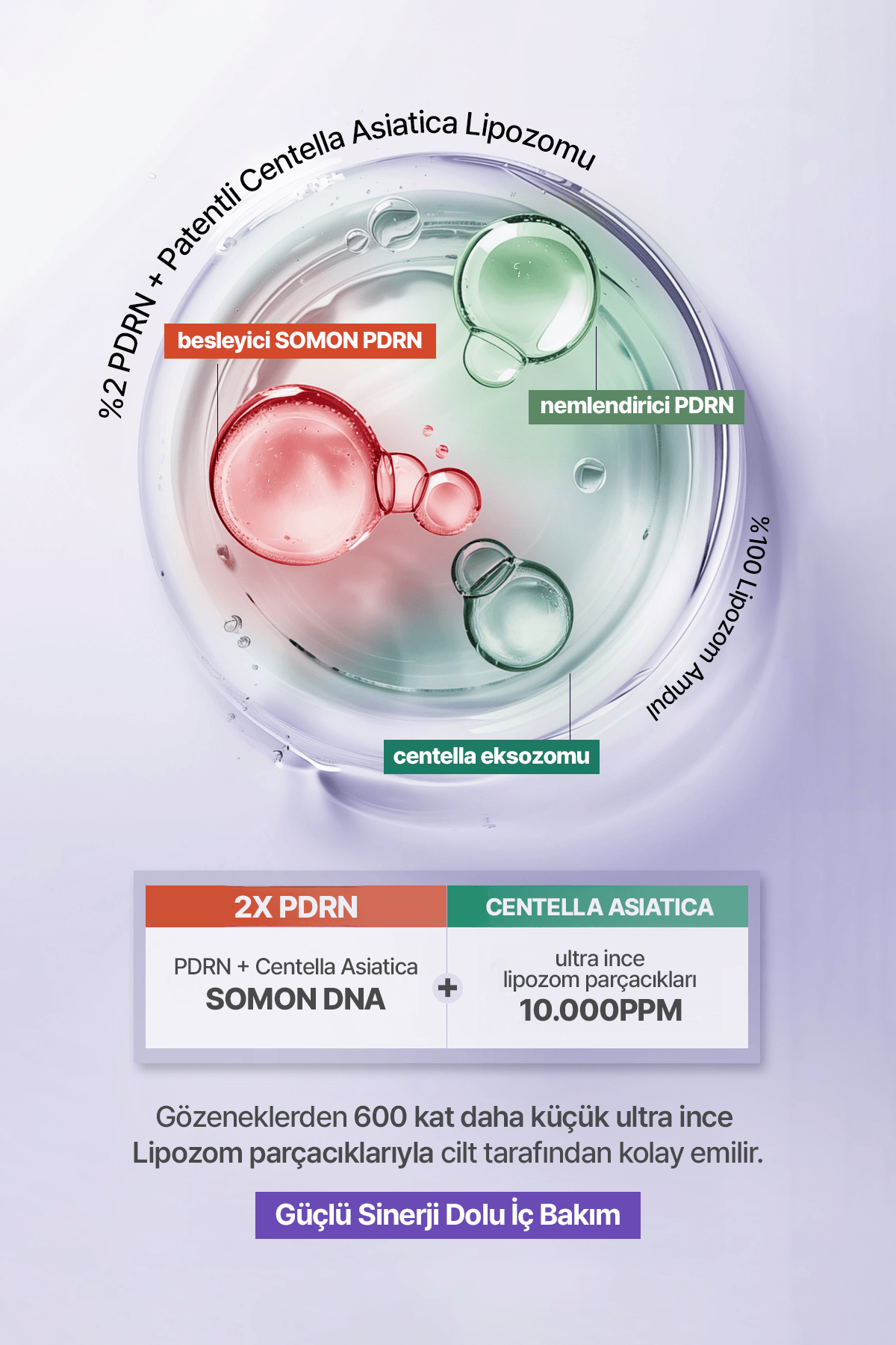 Exosome PDRN Yoğun Elastikiyet ve Cilt Dolgunlaştırıcı Onarıcı Esans Maxclinic Ampoule