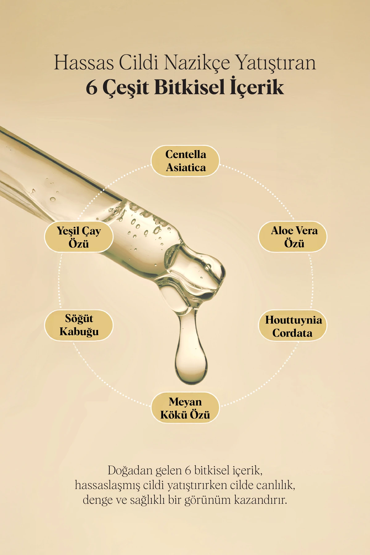 Pirinç Özü İçeren Cam Cilt Maske Glass Skin Rice Hydrogel Mask