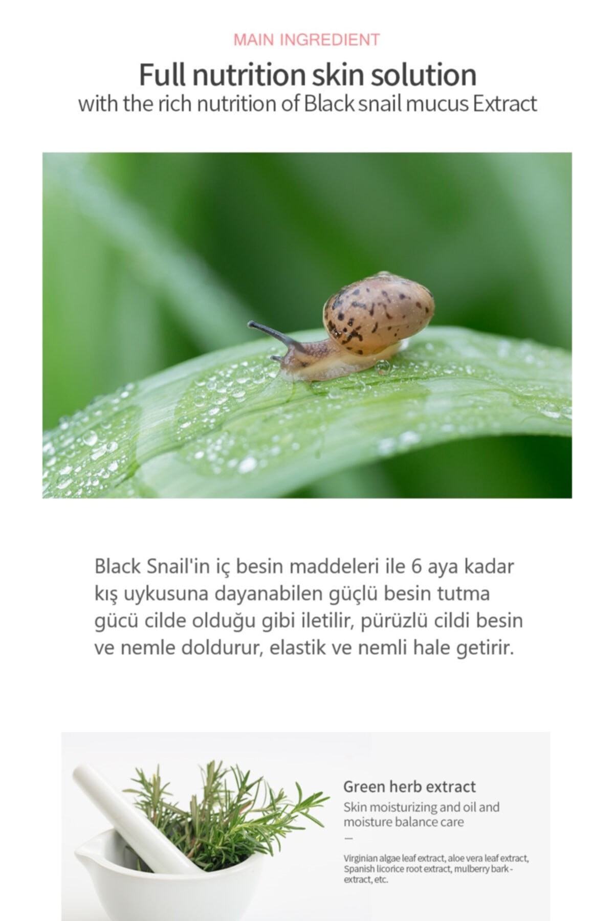Black Snail Özü Içeren Canlandırıcı , Dengeleyici Ve Nemlendirici Maske Help! Serisi