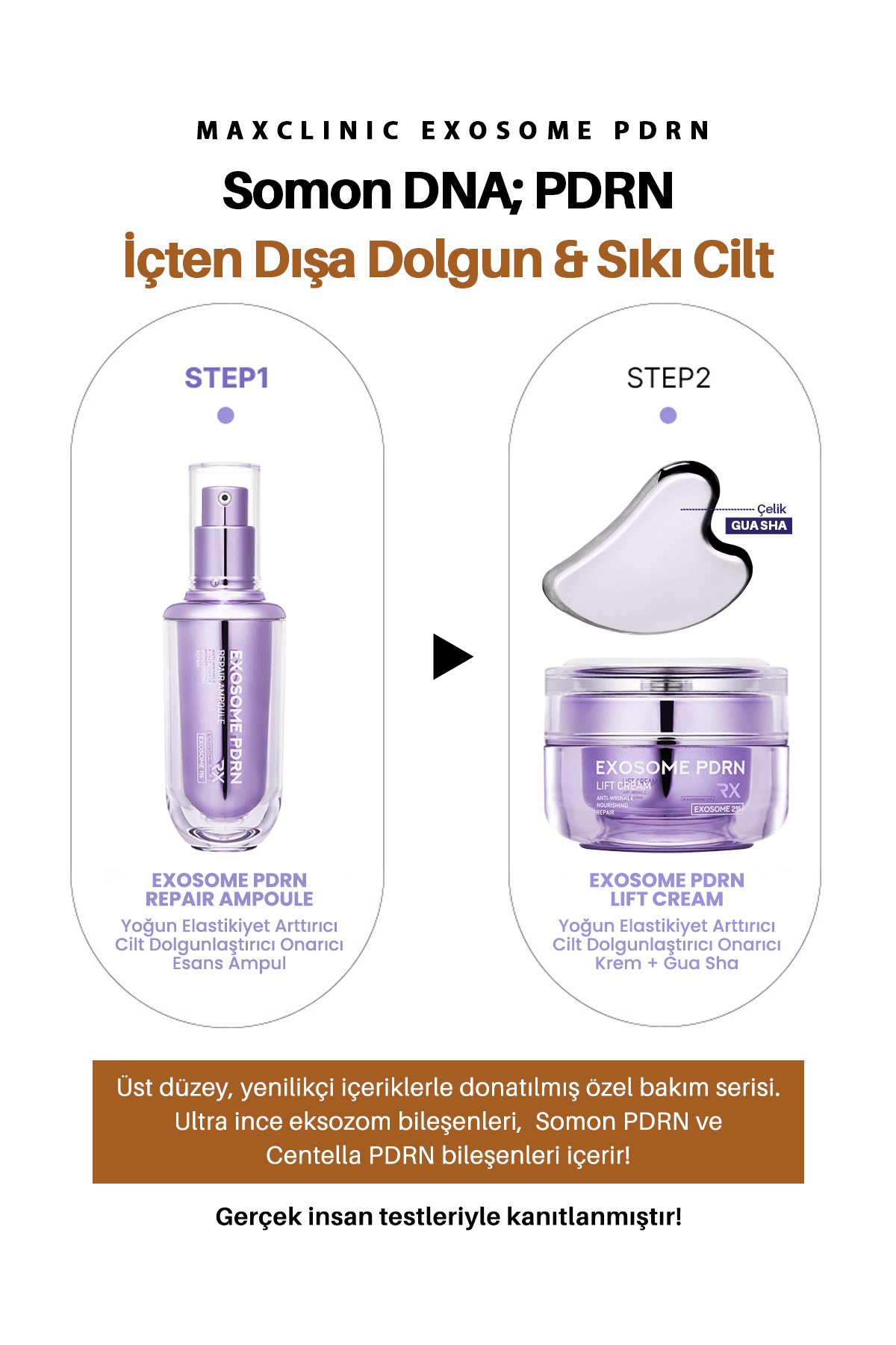 Exosome PDRN Yoğun Elastikiyet ve Cilt Dolgunlaştırıcı Onarıcı Esans Maxclinic Ampoule